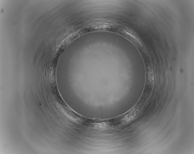 X0000059080411200510172035