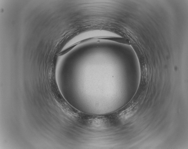 X0000059080412200510172034