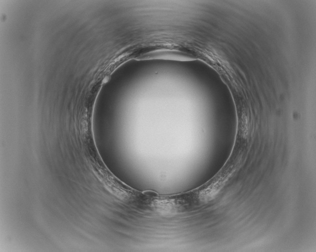 X0000059080413200510172034