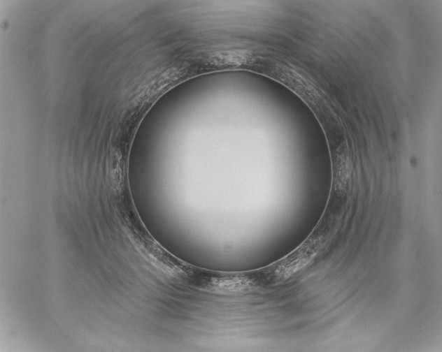 X0000059080414200510172034