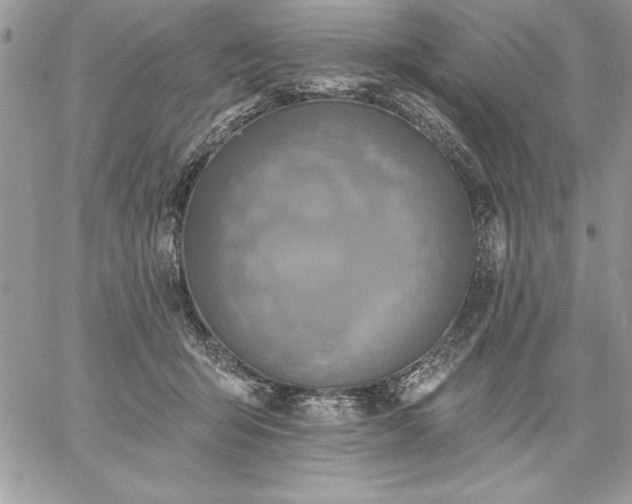 X0000059080415200510172034