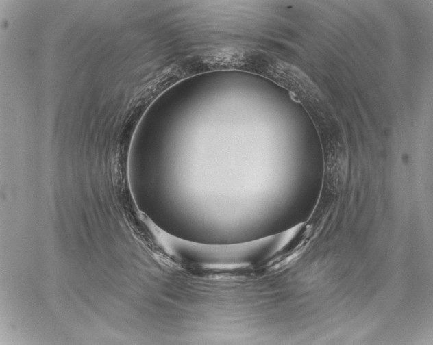 X0000059080416200510172034