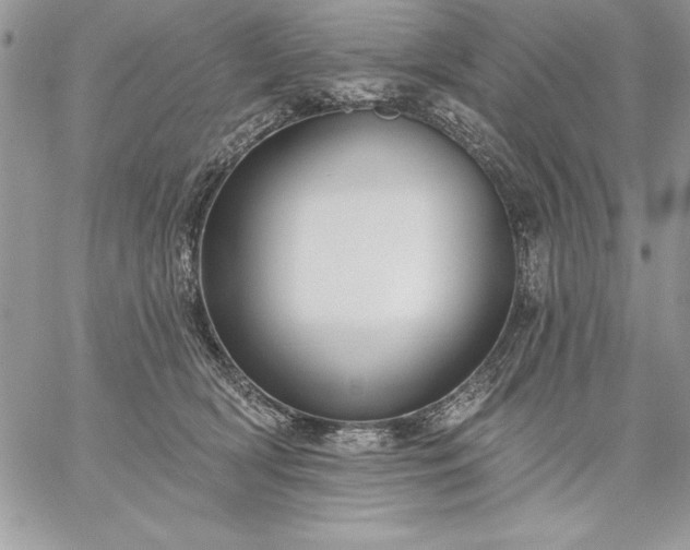 X0000059080418200510172034