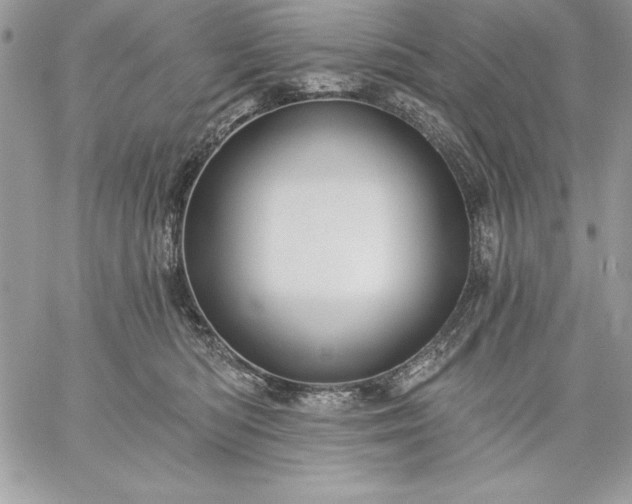 X0000059080422200510172034