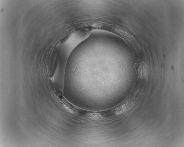 X0000059080424200510172034