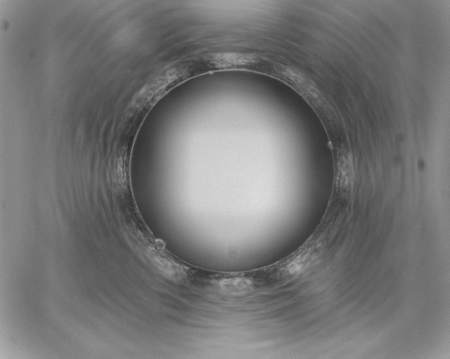 X0000059080426200510172034