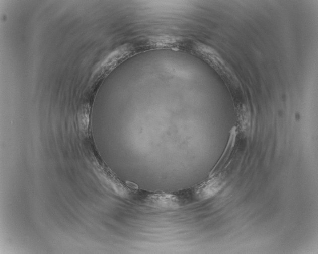 X0000059080427200510172034