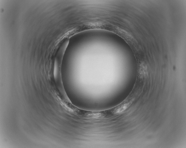 X0000059080428200510172034