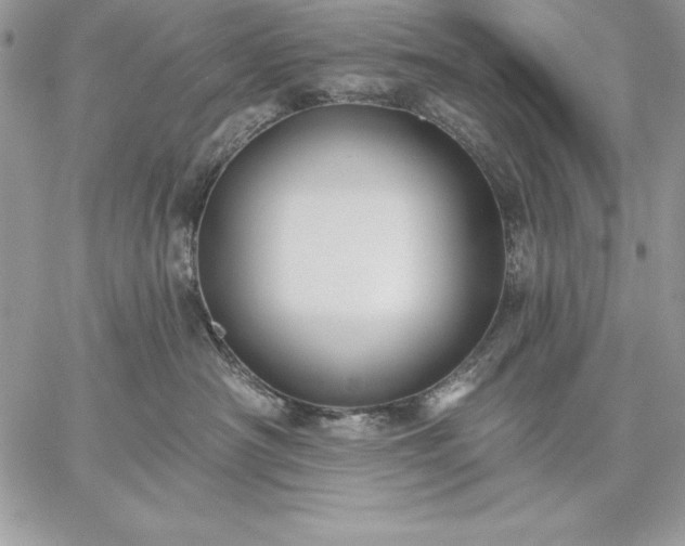 X0000059080430200510172034