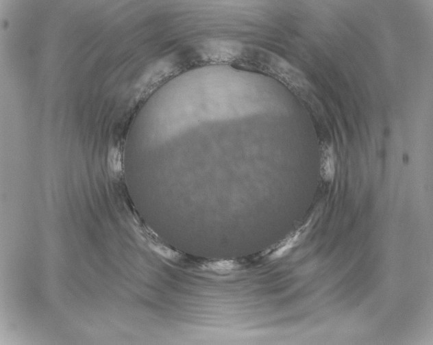 X0000059080431200510172034