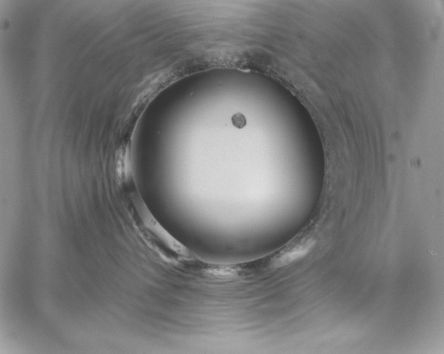 X0000059080432200510172034