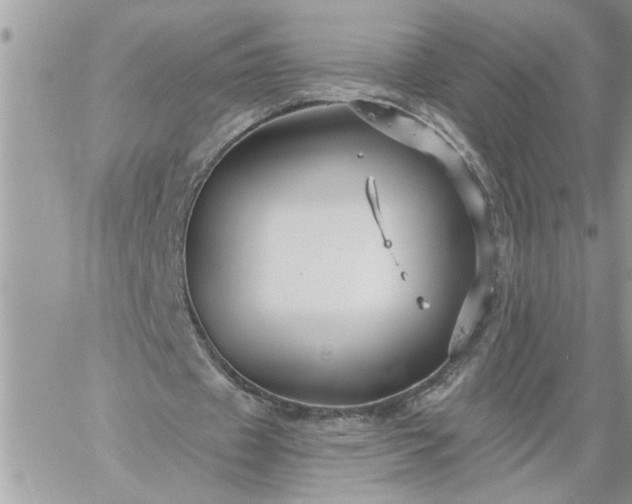 X0000059080433200510172033