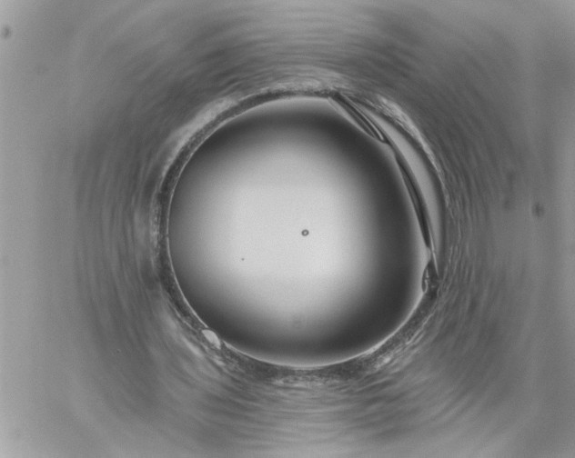 X0000059080435200510172033