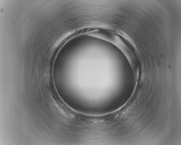 X0000059080436200510172033