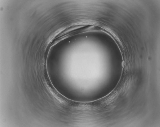 X0000059080437200510172033