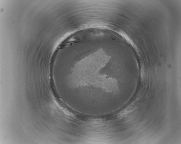 X0000059080438200510172033