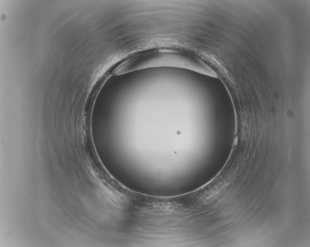 X0000059080439200510172033