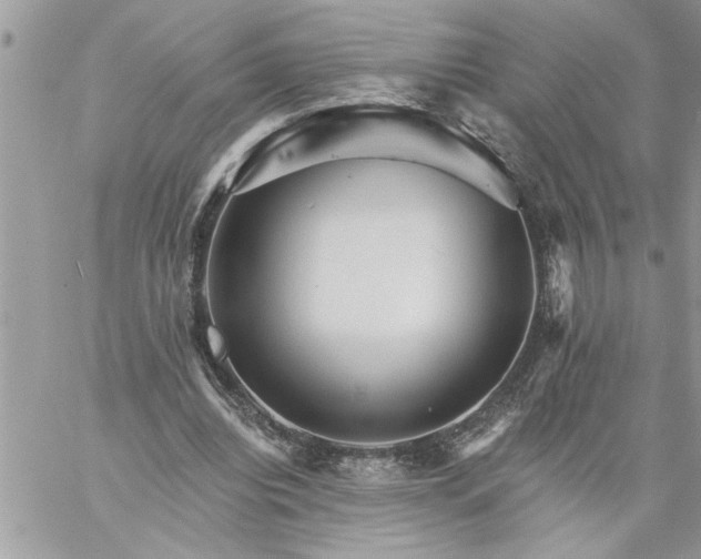 X0000059080440200510172033