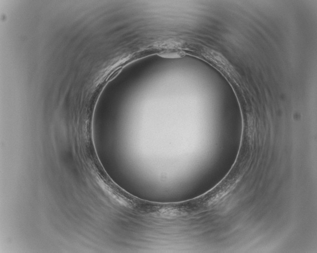 X0000059080441200510172034