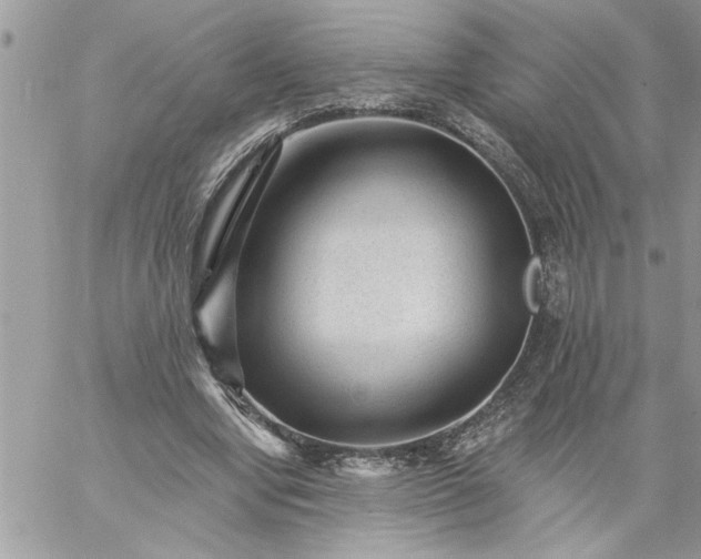 X0000059080442200510172034