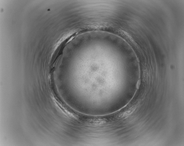 X0000059080443200510172034