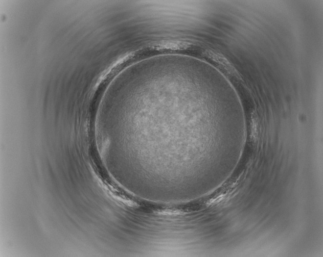 X0000059080444200510172034