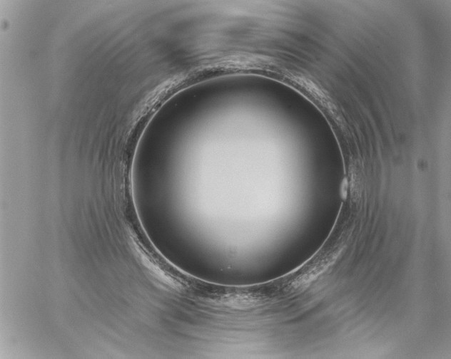 X0000059080445200510172034