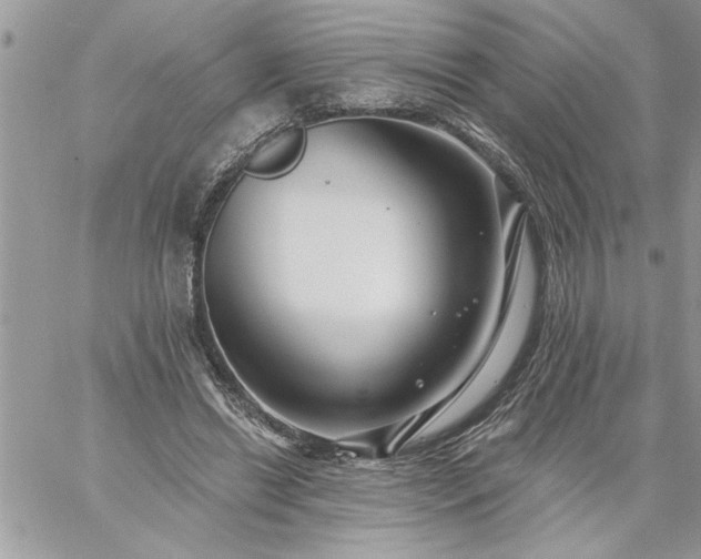 X0000059080446200510172034