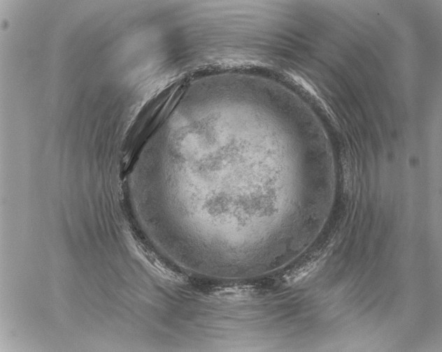 X0000059080447200510172034