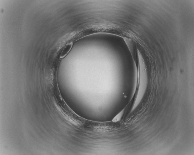 X0000059080448200510172034