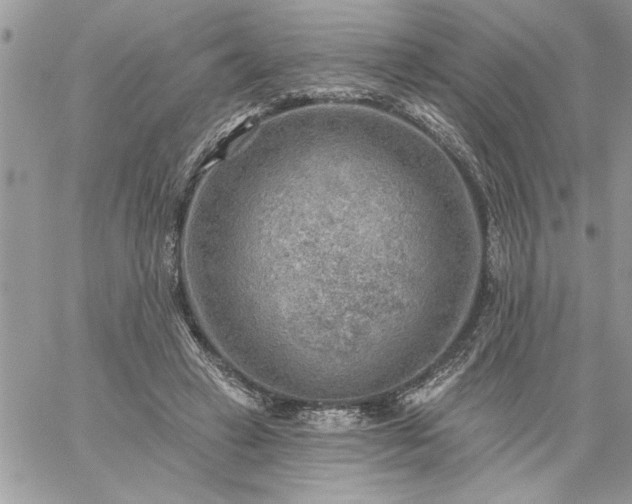 X0000059080449200510172034