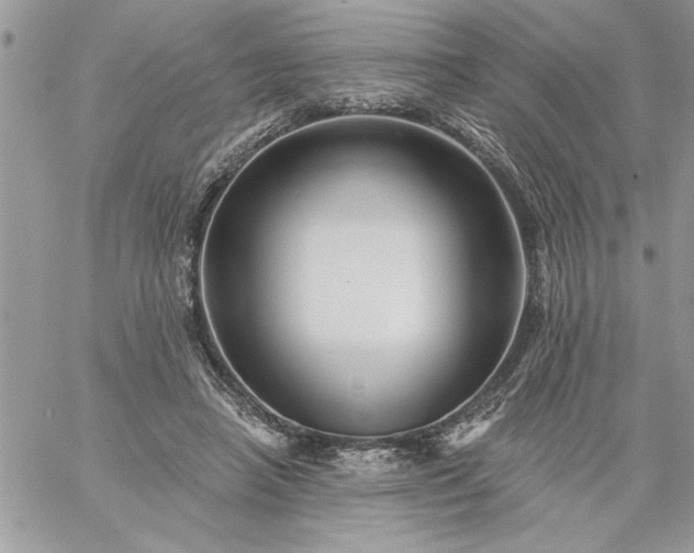 X0000059080450200510172034