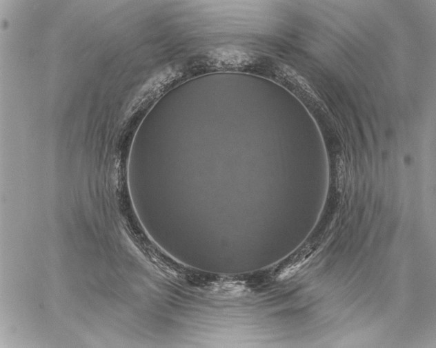 X0000059080451200510172034