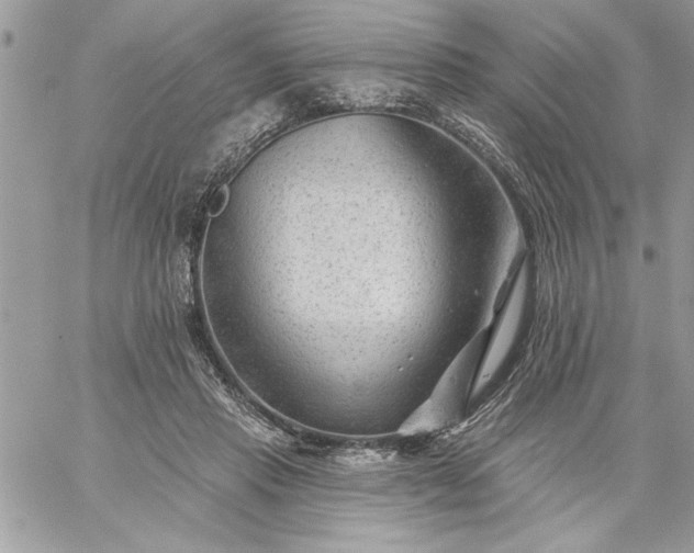 X0000059080453200510172034