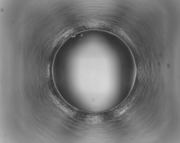 X0000059080454200510172034