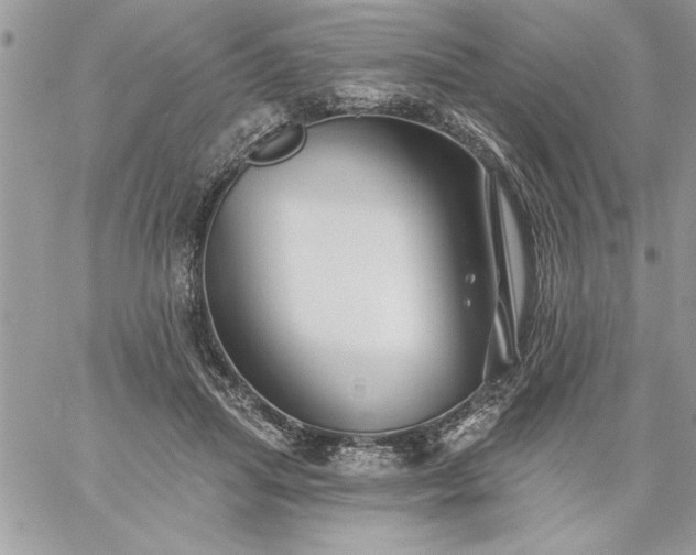 X0000059080455200510172034