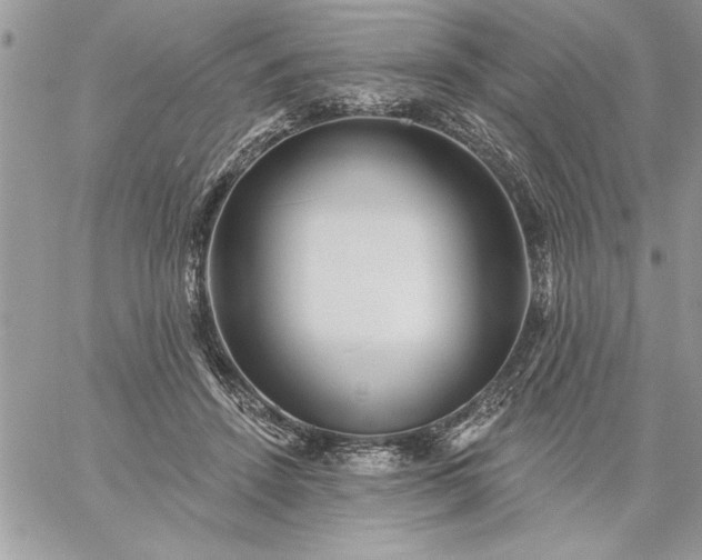 X0000059080456200510172034