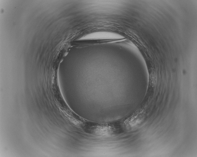 X0000059080458200510172034