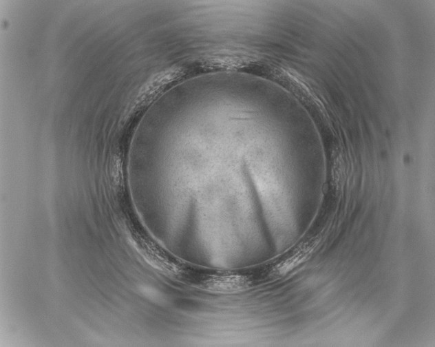 X0000059080459200510172034