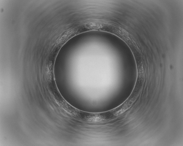 X0000059080460200510172034