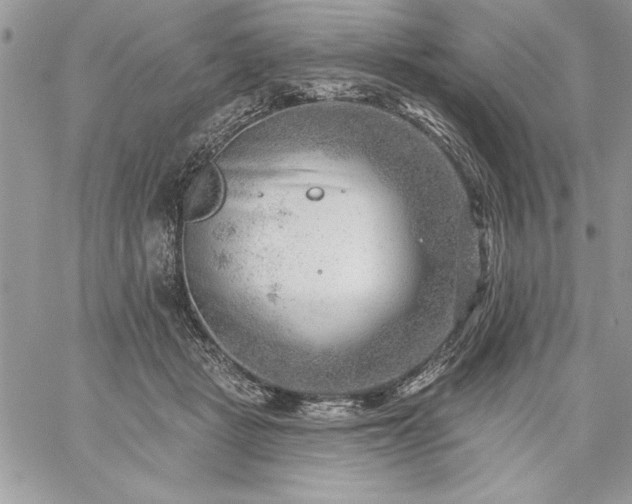 X0000059080461200510172034