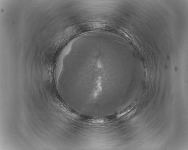 X0000059080462200510172034