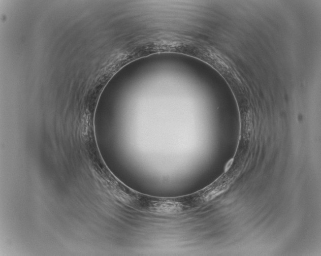 X0000059080463200510172034