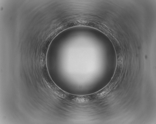 X0000059080464200510172034