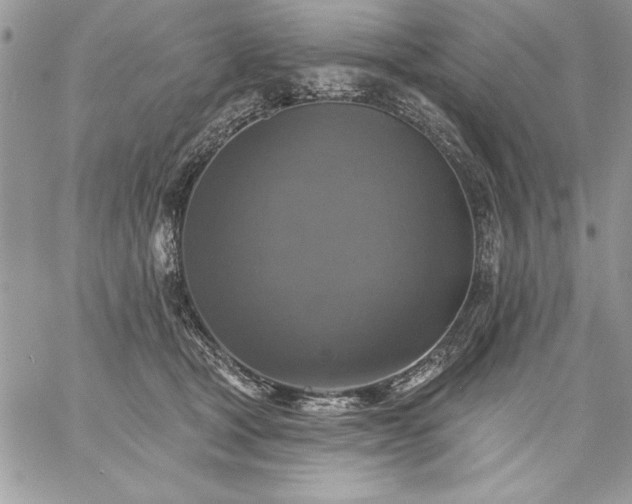 X0000059080465200510172034