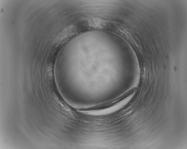 X0000059080466200510172034