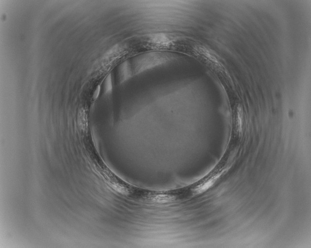 X0000059080467200510172034