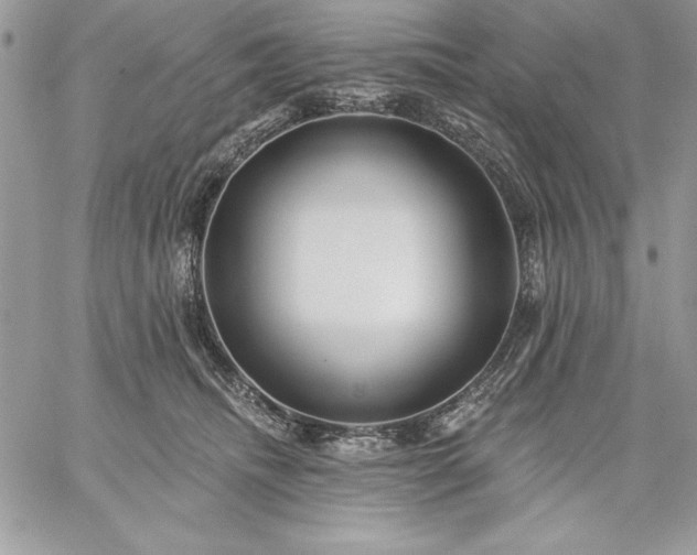 X0000059080468200510172034