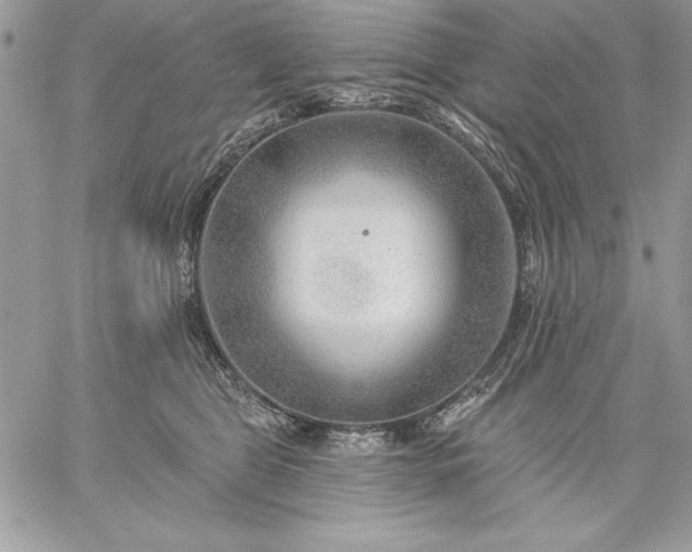 X0000059080469200510172034