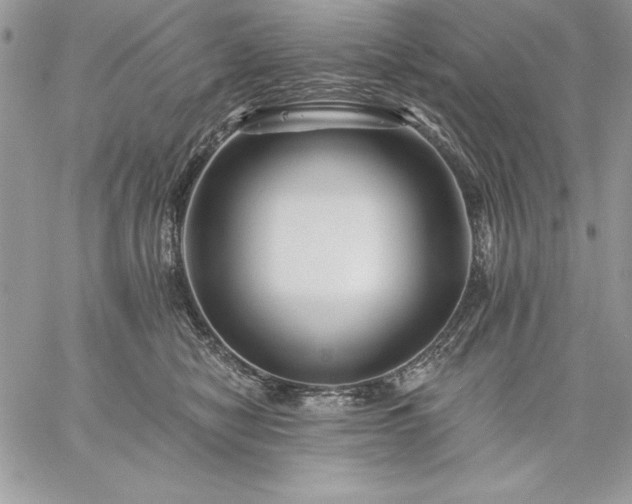 X0000059080470200510172034